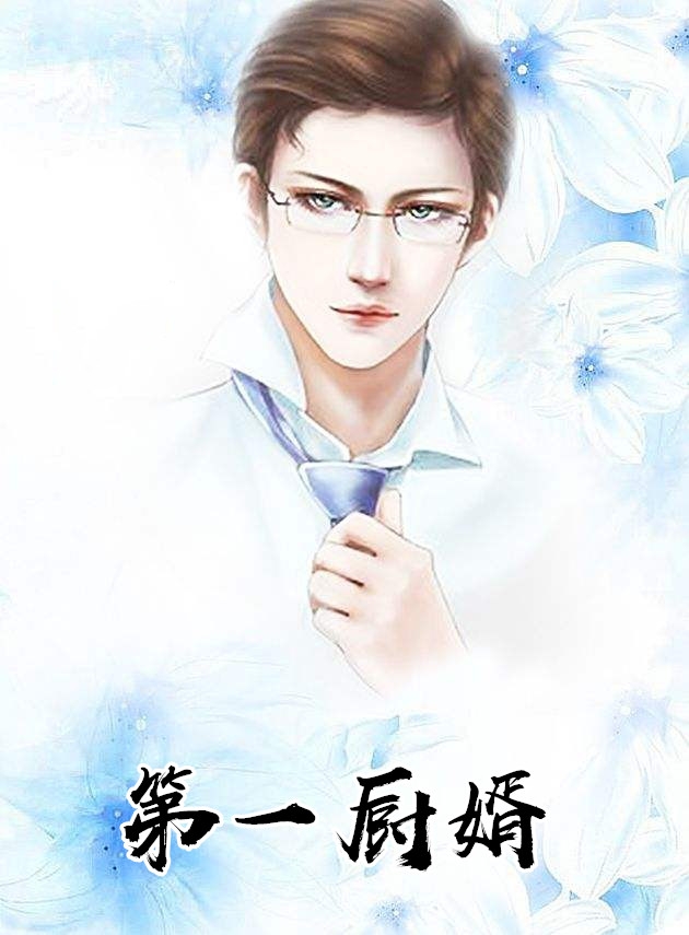 第一厨婿